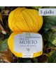 Fresh Mojito di Miss Tricot Filati